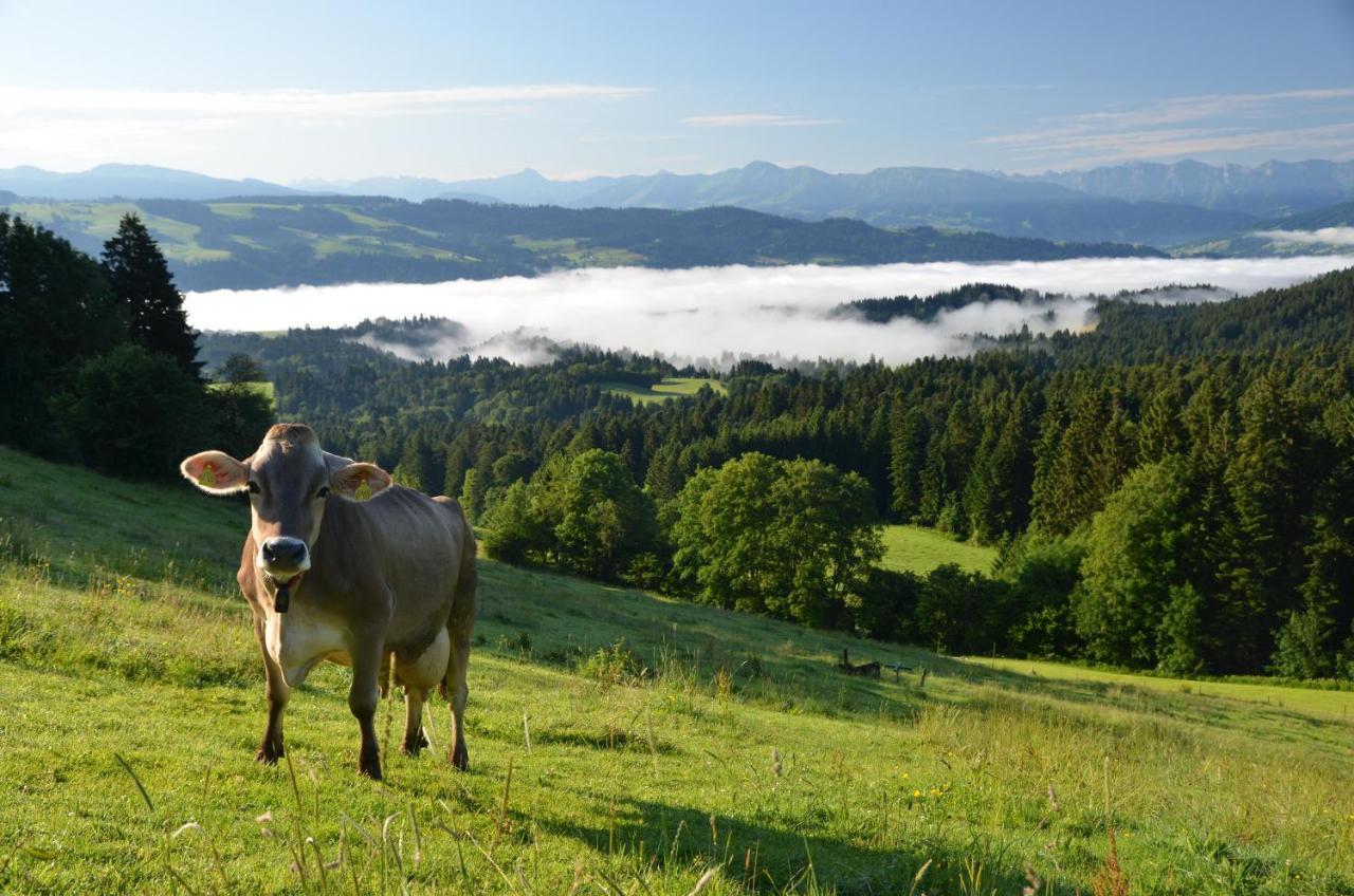 Hotel Alpenrose Gut Schlafen & Fruehstuecken Scheidegg Eksteriør billede